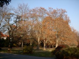 2003-11-10_Kleiner_Park